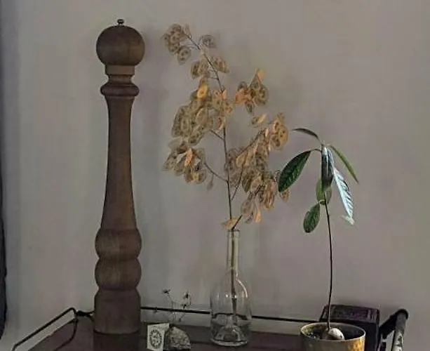 Lit Et Croissants 3* Bertignat